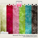 Beneath The Storm, Hope Still Floats Big Bundle