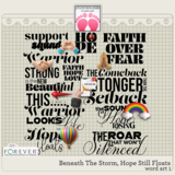 Beneath The Storm, Hope Still Floats Big Bundle