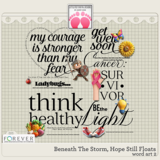 Beneath The Storm, Hope Still Floats Big Bundle