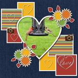 Everyday Enhanced Warped Photo Clusters