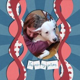 Everyday Enhanced Border Clusters