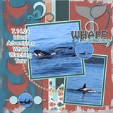 Everyday Enhanced Border Mates