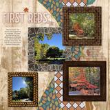 Everyday Decorative Frames - Weave