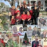 Christmas Pine Party Bundle