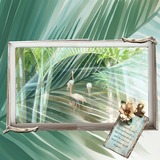 That Summer Feeling Bundle