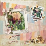 That Summer Feeling Bundle