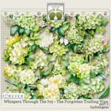 Whispers Through The Ivy - The Forgotten Trailing Vine Big Bundle Part 2