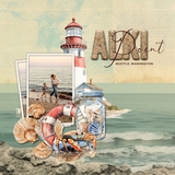 Deluxe Travel Junk Journal Beach Papers