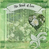 Distressed Accents Bundle 1