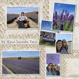 Distressed Accents Bundle 1