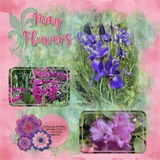 Distressed Accents Bundle 1