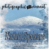 Distressed Accents Bundle 1