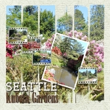 Artistic License Stripes Forever