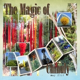 Artistic License Stripes Forever