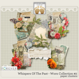 Whispers Of The Past - Worn Collection #2