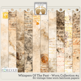 Whispers Of The Past - Worn Collection #4