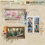 Planting Seeds Cluster Groups
