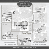 Artistic License Photo Play 3