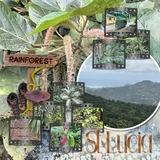 Artistic License Photo Play 3