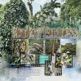 Artistic License Photo Play 3