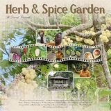 Artistic License Musings - Part 4