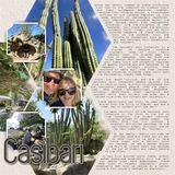 Artistic License Musings - Part 4