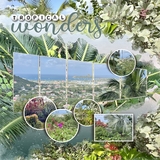 Artistic License Musings - Part 4