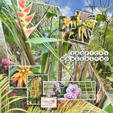 Artistic License Musings - Part 4