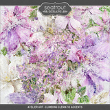 Atelier Art - Climbing Clematis Bundle
