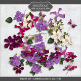 Atelier Art - Climbing Clematis Bundle