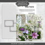 Atelier Art - Climbing Clematis Bundle