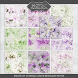 Atelier Art - Climbing Clematis Bundle