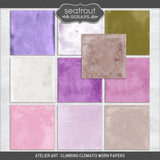 Atelier Art - Climbing Clematis Bundle