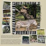 Animal House Decorative Frames Bundle