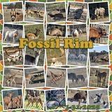 Everyday Enhanced Photo Clusters 2