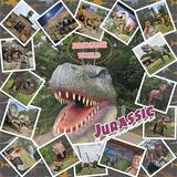 Everyday Enhanced Photo Clusters 2