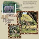 Animal House Decorative Frames - Skin