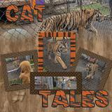 Animal House Decorative Frames - Reptile