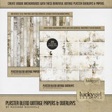 Plaster Blend Vintage Papers & Overlays