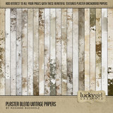 Plaster Blend Vintage Papers & Overlays