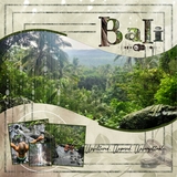 Soft Focus Big Bundle