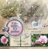 Soft Focus Big Bundle