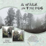 Soft Focus Big Bundle