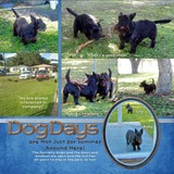 Wire Alpha - White Base