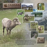 Canada Leather Patches