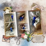ClusterMania - Summer Bonanza Photo Clusters