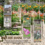 Artistic License Stripes Forever