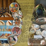 Artistic License Summer Stories