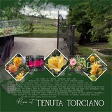 Artistic License Summer Stories