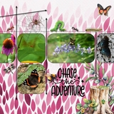 Summer Camp Watercolor Bugs